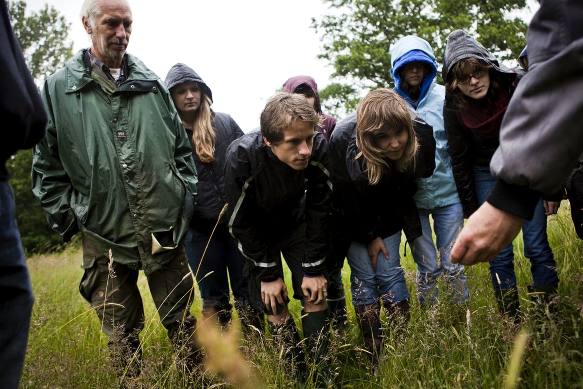 A small group examining plants outdoors during a nature walk.